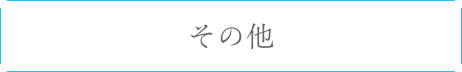 その他