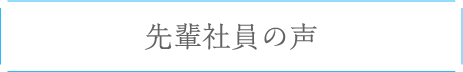 先輩社員の声